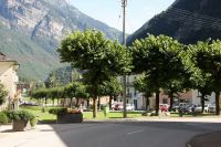 IMG_7330